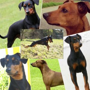 Screenshot 2023-08-18 164118