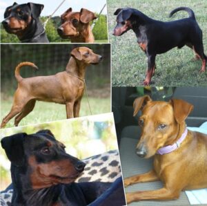 Screenshot 2023-08-18 164158