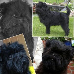 Screenshot 2023-08-18 164231